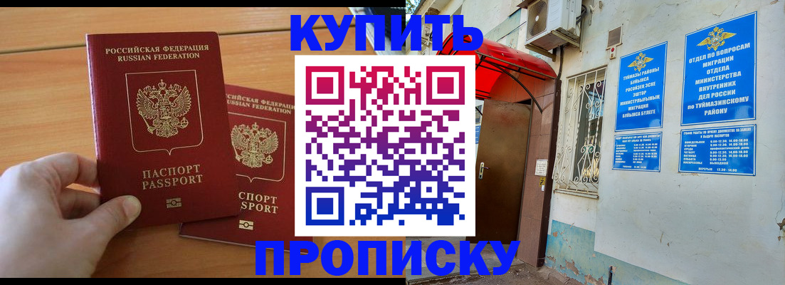 прописка штамп в Светогорске